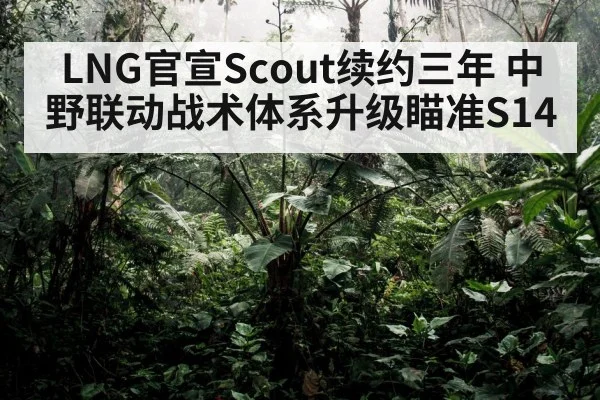 mid jungle synergy