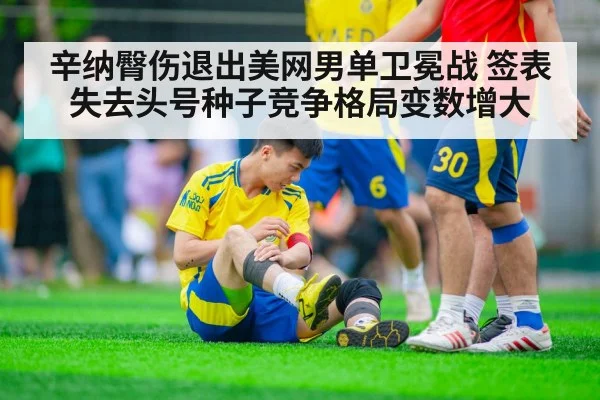 辛纳臀伤退出美网男单卫冕战 签表失去头号种子竞争格局变数增大